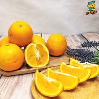 Valencia Orange (10pcs/pkt)