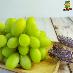 Green Grapes Seedless (500g/pack)