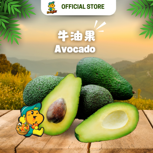 Australia Avocado 