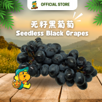 Black Grapes Seedless (500g/pkt)