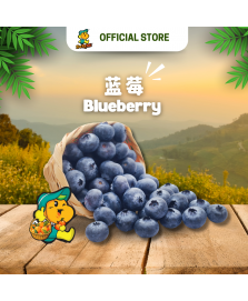 Blueberry (125g/pkt)
