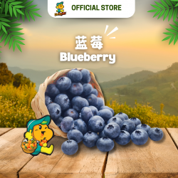 Blueberry (125g/pkt)