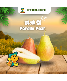 Forelle Pear (800g)