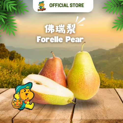 Forelle Pear (800g)
