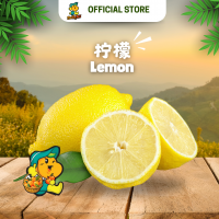 Lemon (5pcs/pkt)