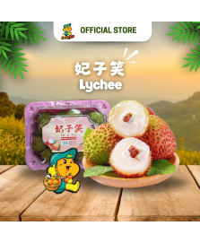 China Fei Zi Xiao Lychee (500g/pkt)