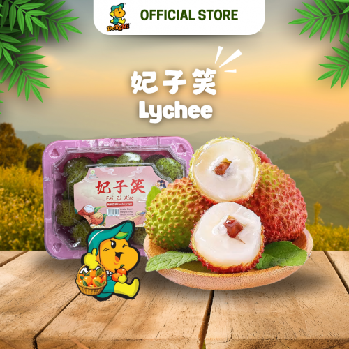 China Fei Zi Xiao Lychee (500g/pkt)