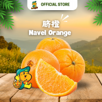 Navel Orange (5pcs/pkt)