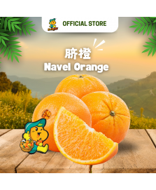 Navel Orange (5pcs/pkt)