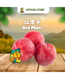 Red Plum (500g/pkt)
