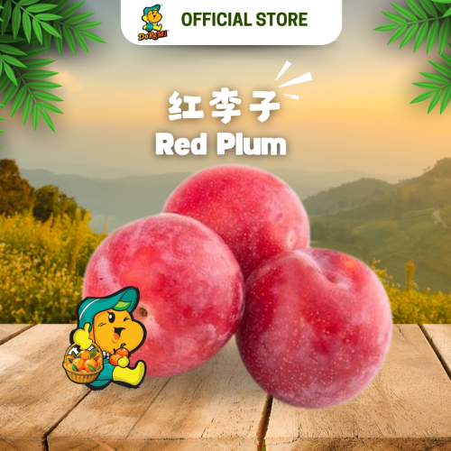 Red Plum (500g/pkt)