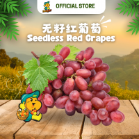 Red Grapes Seedless (500g/pack) 