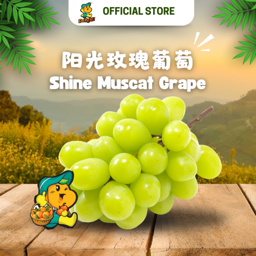 Shine Muscat Grapes (500g+/-)