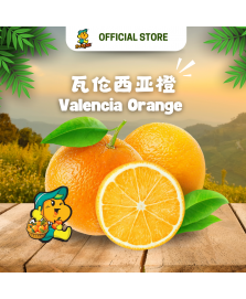 Valencia Orange (10pcs/pkt)