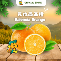 Valencia Orange (10pcs/pkt)