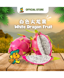 White Flesh Dragon Fruit 