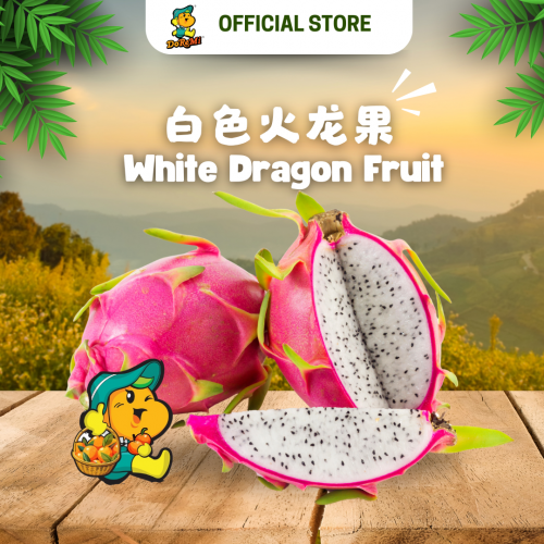 White Flesh Dragon Fruit 