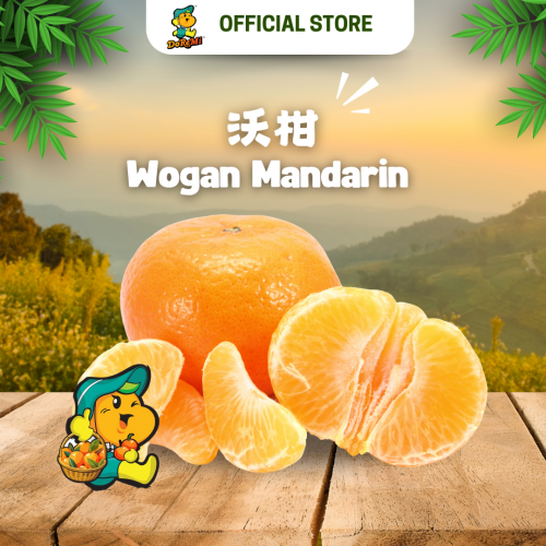 Mandarin Oranges ( 800g/pkt )