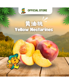 Yellow Nectarines (900g/pkt)