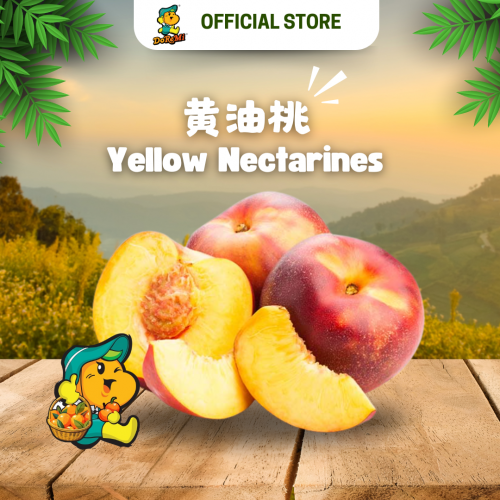 Yellow Nectarines (900g/pkt)