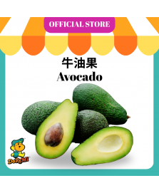 Australia Avocado 
