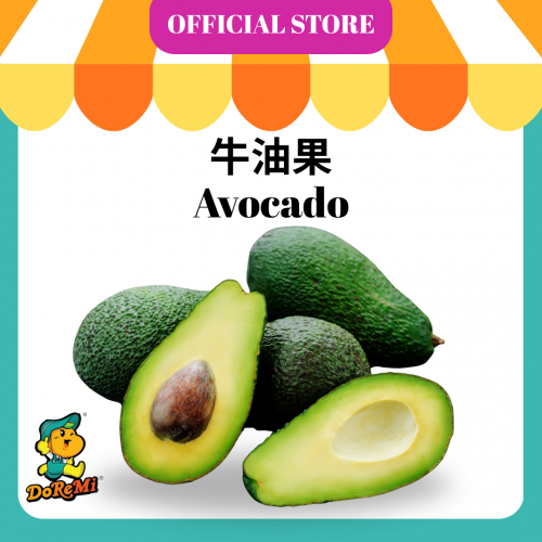 Australia Avocado