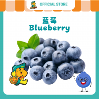Blueberry (125g/pkt)