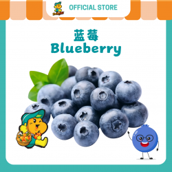 Blueberry (125g/pkt) Blueberry (125g/pkt)