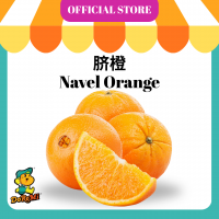 Navel Orange (5pcs/pkt)