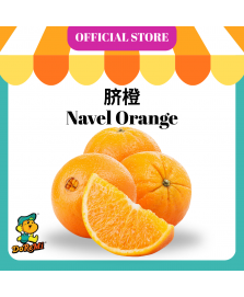 Navel Orange (5pcs/pkt)