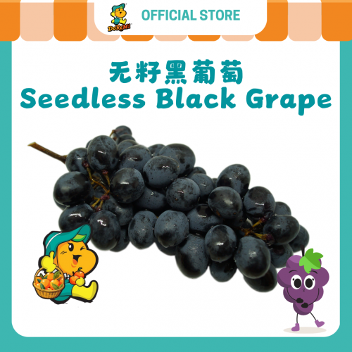 Black Grapes Seedless (500g/pkt)