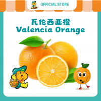 Valencia Orange (10pcs/pkt)