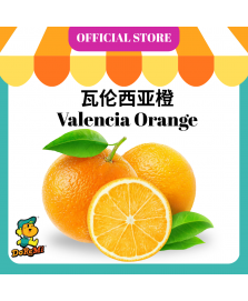 Valencia Orange (10pcs/pkt)