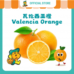 Valencia Orange (10pcs/pkt) Valencia Orange (10pcs/pkt)