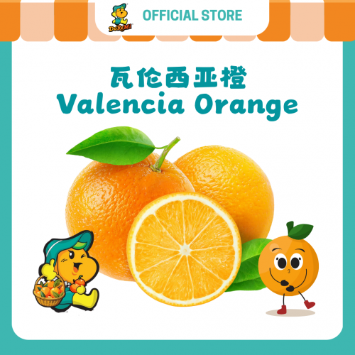 Valencia Orange (10pcs/pkt) Valencia Orange (10pcs/pkt)