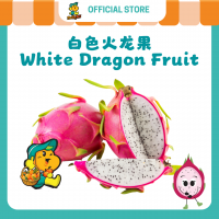 White Flesh Dragon Fruit 