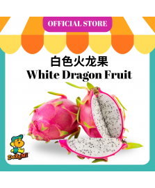 White Flesh Dragon Fruit 