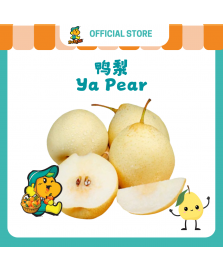 Ya Pear (10pcs/pkt)