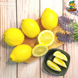 Lemon (5pcs/pkt) Lemon (5pcs/pkt)