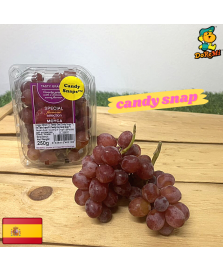 Spain Moyca Candy Snap Grapes (250g/pkt)