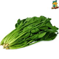 Spinach (200g/pkt) 