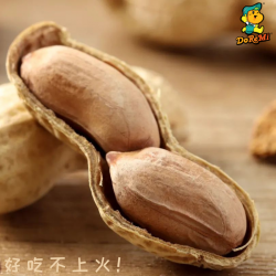 Tangerine Peel Flavoured Peanuts （陈皮味花生）350g