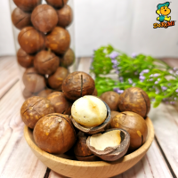 DoReMi Macadamia Nuts (125g/210g)