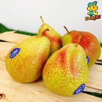 Forelle Pear (4pcs/pkt)