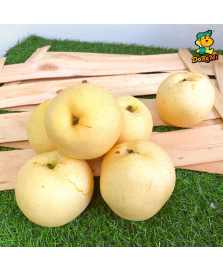 Golden Pear (2pcs/pkt)