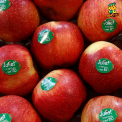 France Organic Juliet Apple (5pcs/pkt)