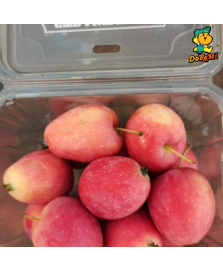 Strawberry Apple [450GM]