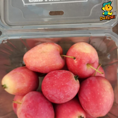 Strawberry Apple [450GM]