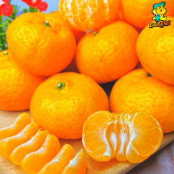 China Sugar Tangerine (600g/pkt)