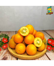 China Golden Tangerine / Kumquat (350g/pkt)